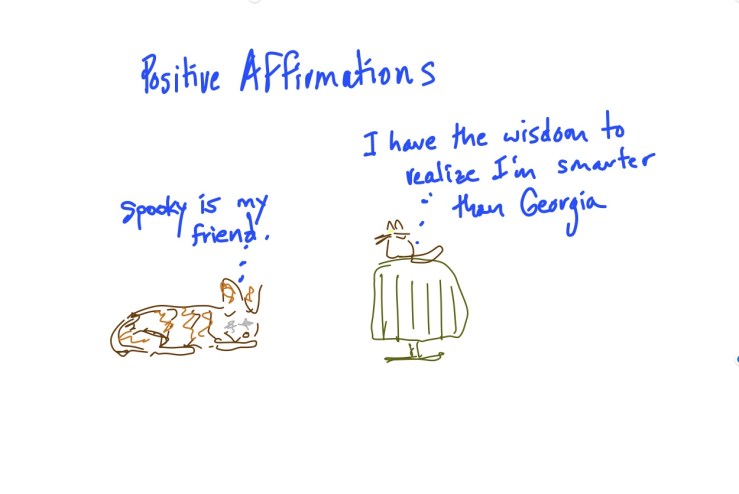 146830D9-CE11-4FEF-9369-43849C60784A